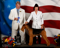 Airedale #5 Thurs WD