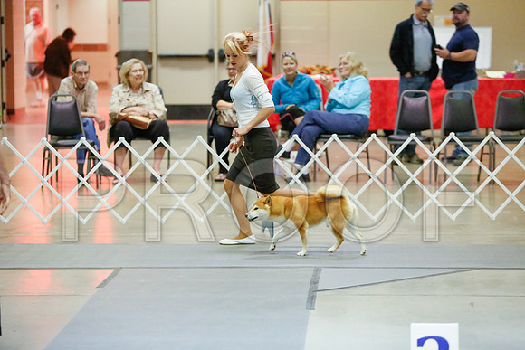 _JJ_3852-AmarilloSept2014-HR3