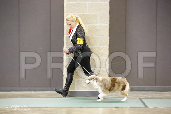 _JN_2351-BeltonJan2015-HR3