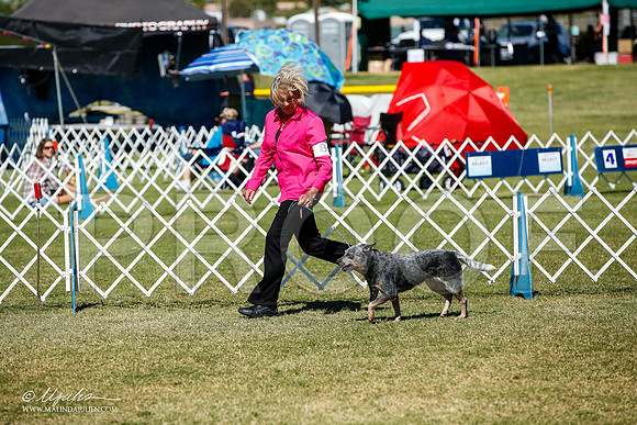 _JJ_1261-AlamogordoOct2014-HR3
