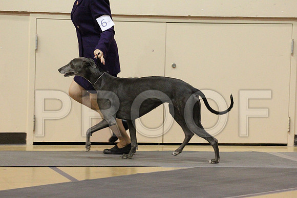 MJS_2428