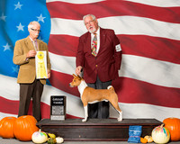 Basenjis #5 Sun G3 Reed Bob Terry Judge Mr Robert R Frost