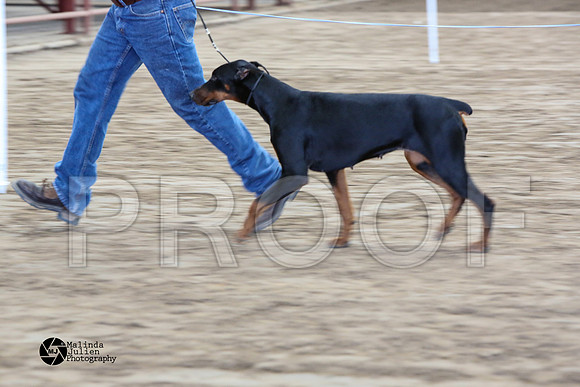 MJ2_0952-WacoFeb14-HR