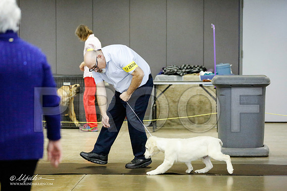 _RH_0971-BeltonJan2015IABCA-HR3