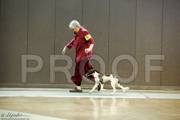 _J3L7033-BeltSep2014-HR