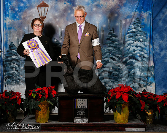 _ST_8037-2-DallasDec2014-HR3