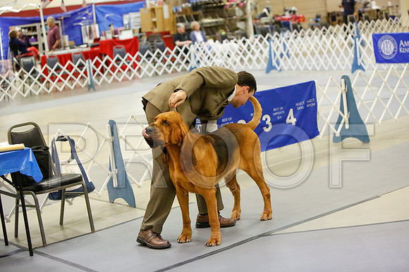 _JN_4537-AmarilloSept2014-HR3