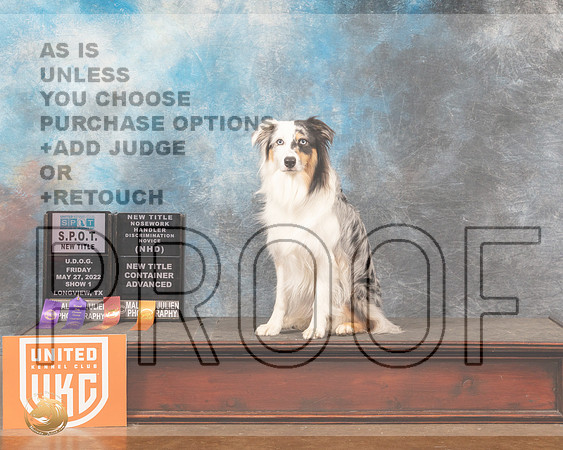 Australian Shepherd #1005 SPOT PNovOBMMJ_5973_Lngvw2022HR3