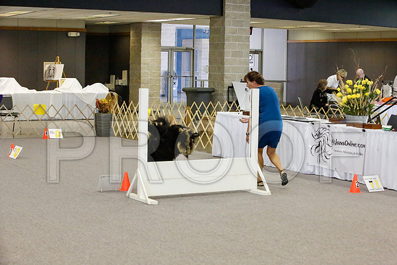 _JJ_3059-AfgNtlBltnOct2014-HR3