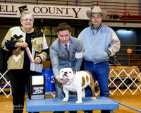 Bulldog #23 Sun BOB +A1