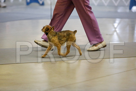 _JJ_2208-AmarilloSept2014-HR3