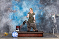 Kerry Blue Terrier #5 Sat G2 Judge Ann Roth