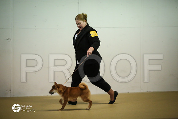 shib-6714-HtoJan14-HR