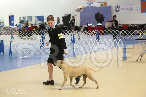 APBT-0811-LR