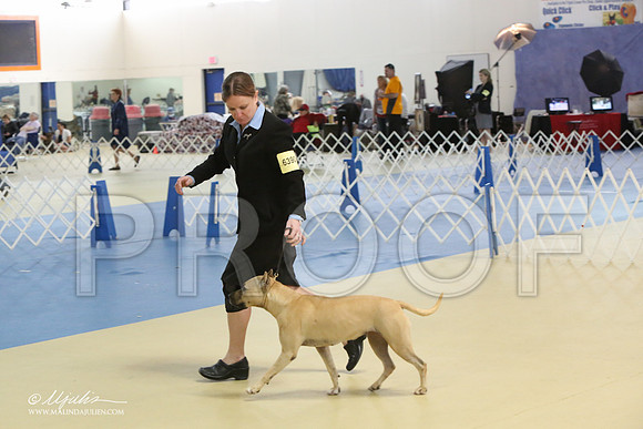 APBT-0813-LR
