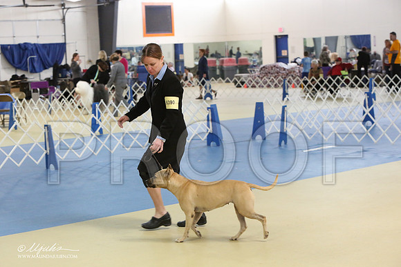 APBT-0816-LR