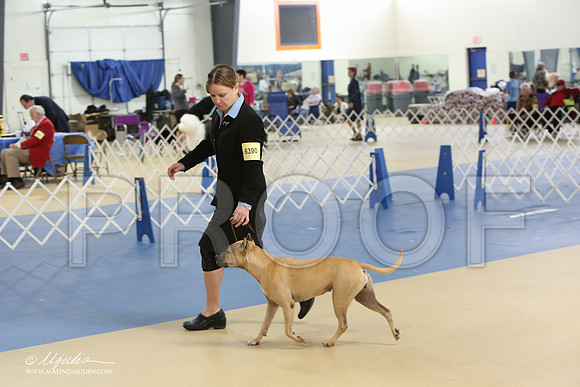 APBT-0817-LR