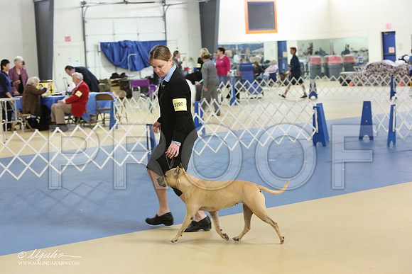 APBT-0818-LR