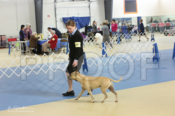 APBT-0819-LR