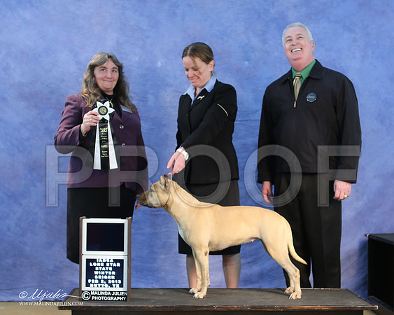 APBT-9546-LR