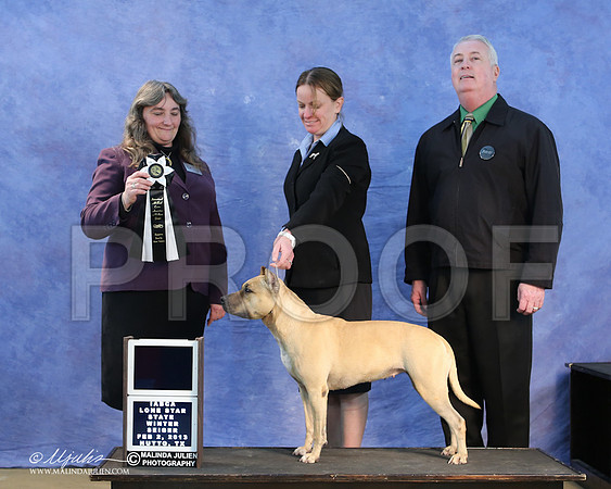 APBT-9560-LR