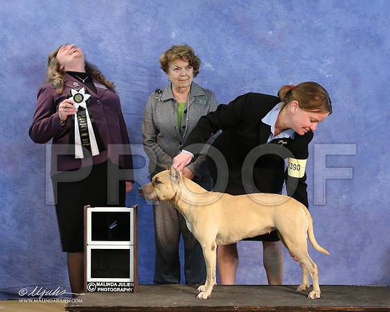 APBT-9649-LR