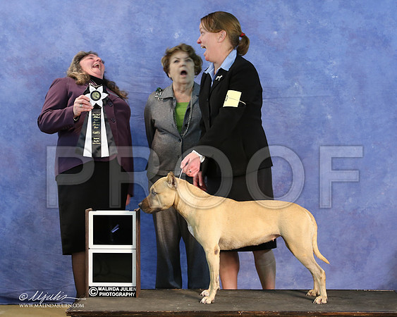 APBT-9651-LR
