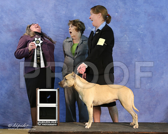 APBT-9653-LR