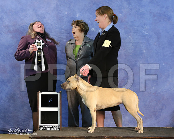 APBT-9654-LR