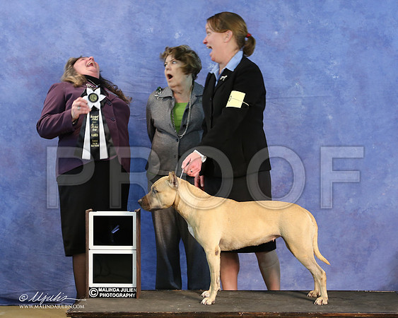APBT-9652-LR