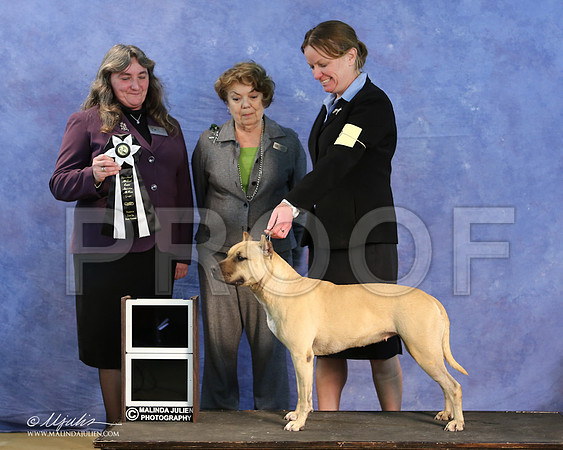 APBT-9658-LR