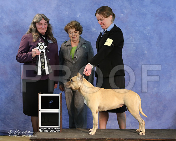 APBT-9659-LR