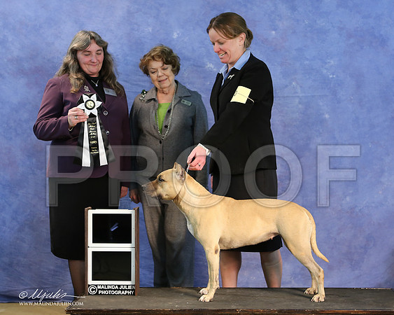 APBT-9663-LR