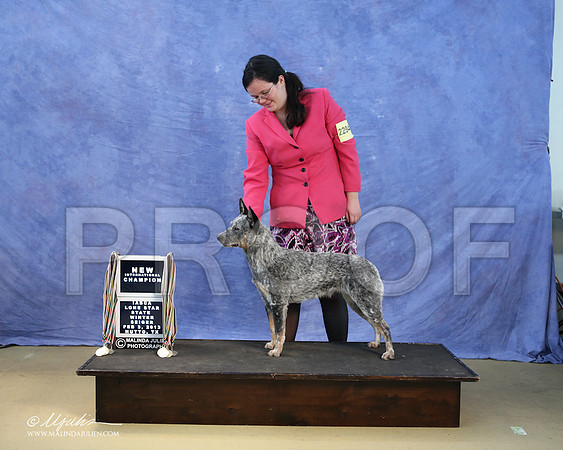 ACD-0094-LR