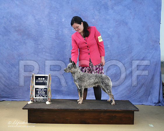 ACD-0097-LR