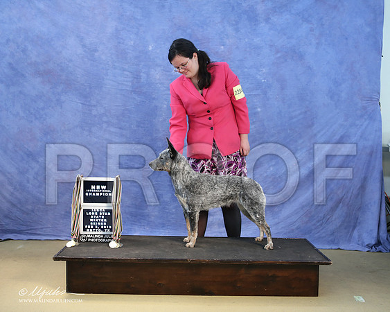 ACD-0100-LR
