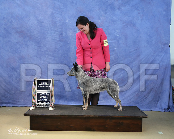ACD-0101-LR