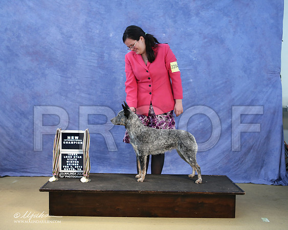 ACD-0104-LR