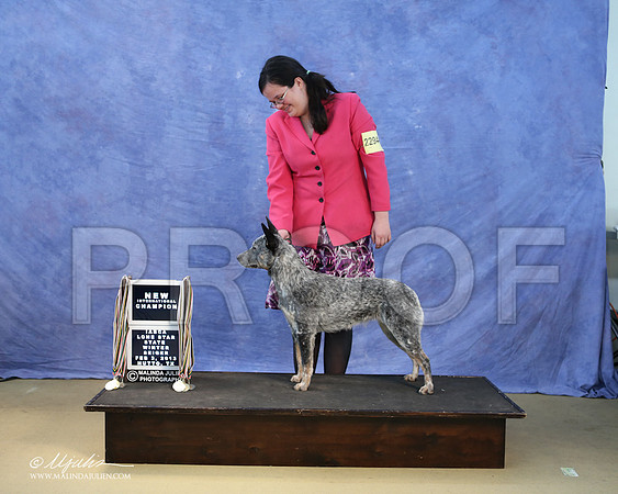 ACD-0105-LR