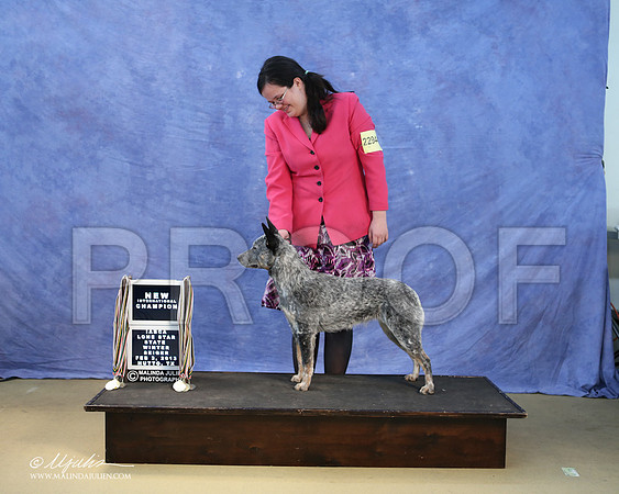 ACD-0106-LR