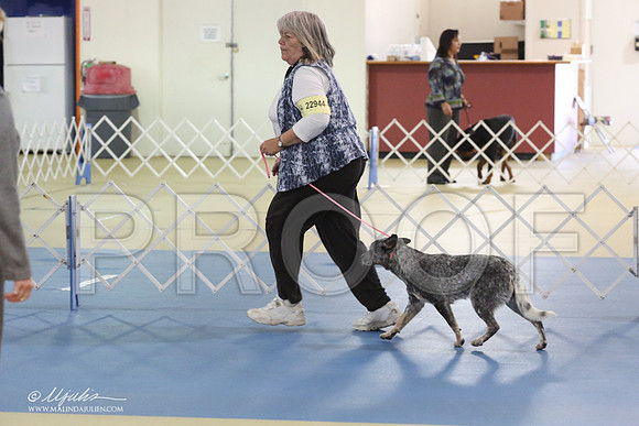 ACD-9422-LR