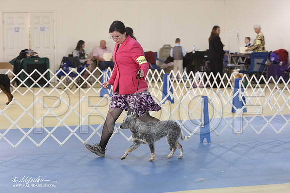 ACD-0517-LR