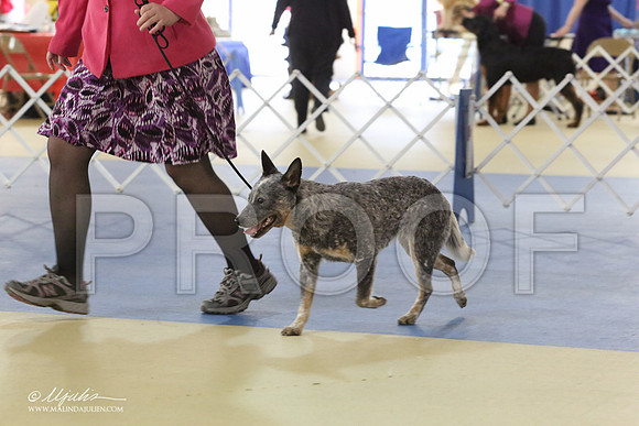 ACD-0522-LR