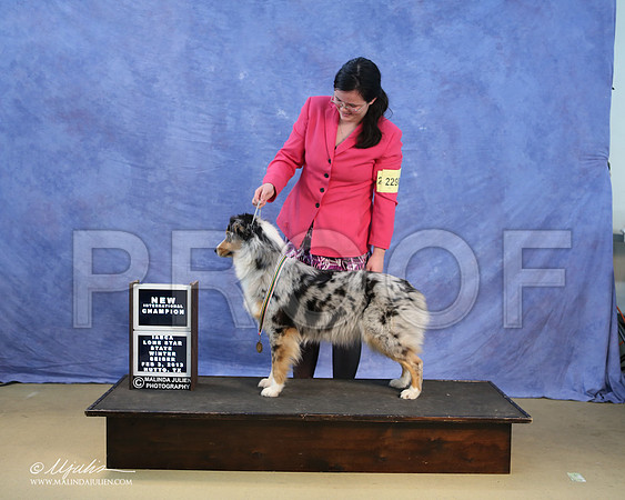 Aus-0117-LR