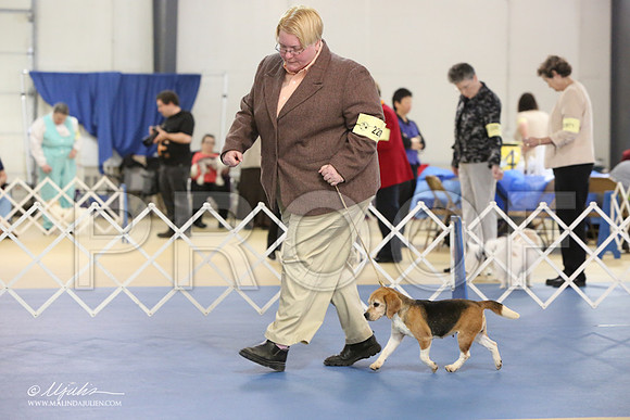 Beag-0880-LR