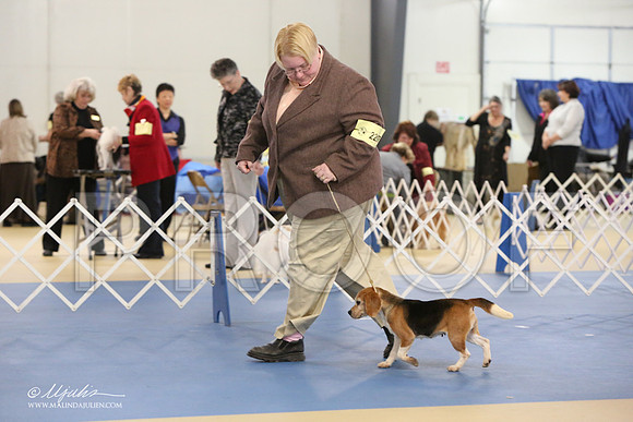 Beag-0876-LR