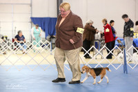 Beagle LR IABCA Feb 2013