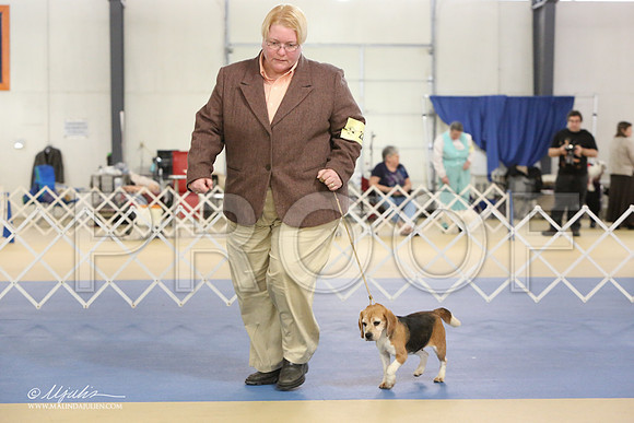 Beag-0889-LR