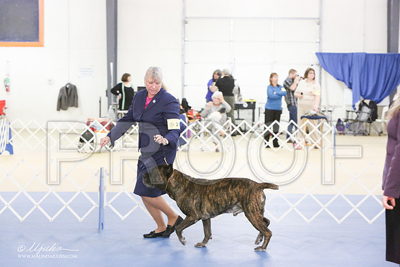 Cane-0410-LR