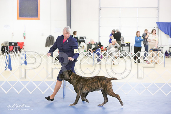 Cane-0411-LR